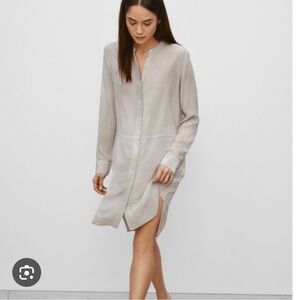 Aritzia Wilfred Bossut buttondown dress